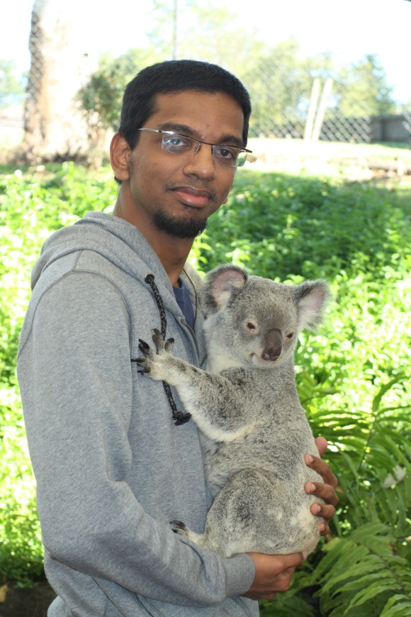 Nimal with a Lone Pine Koala